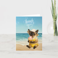 Cat is on the beach