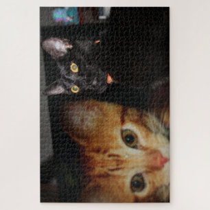 Cat Jigsaw Puzzle