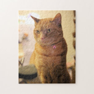 Cat Jigsaw Puzzle