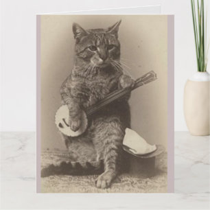 CAT JOUER BANJO CARTES D'ANNIVERSAIRE SURDIMENSION
