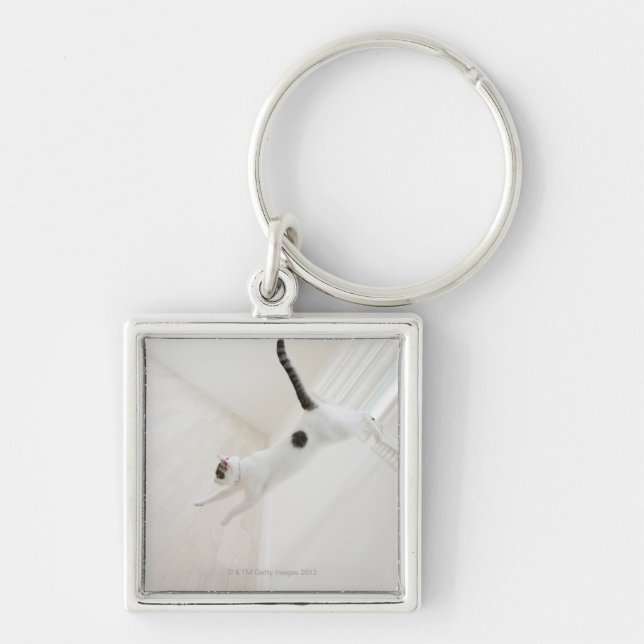 Cat jumping keychain (Front)