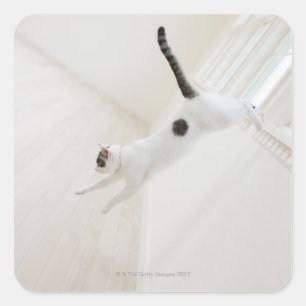 Cat jumping square sticker