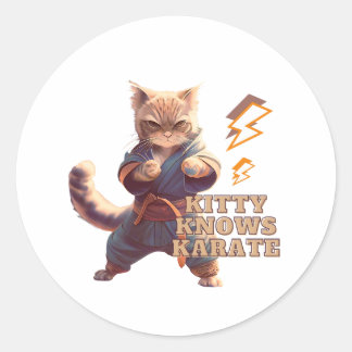 Cat Karate Theme Funny Caption Design  Classic Round Sticker