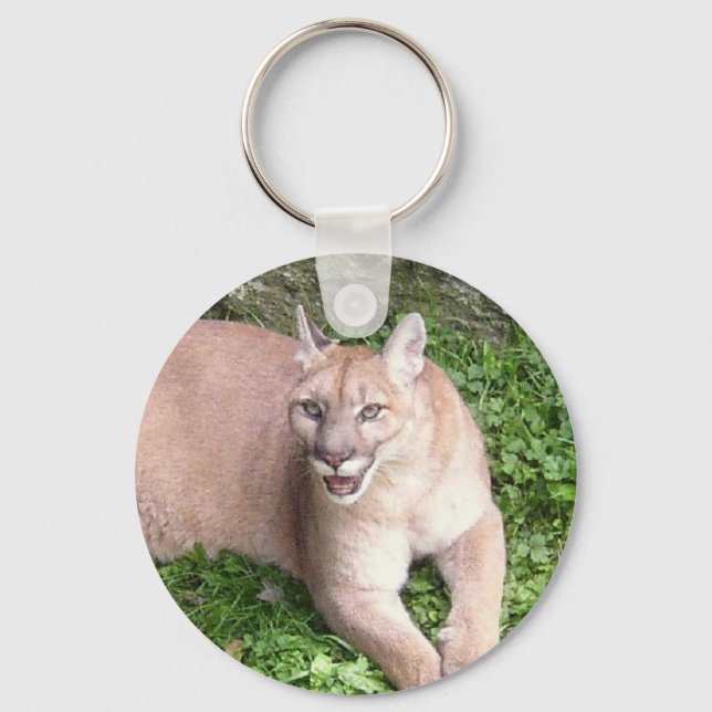 Cat Keychain (Front)