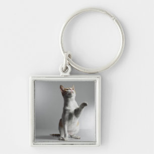 cat keychain