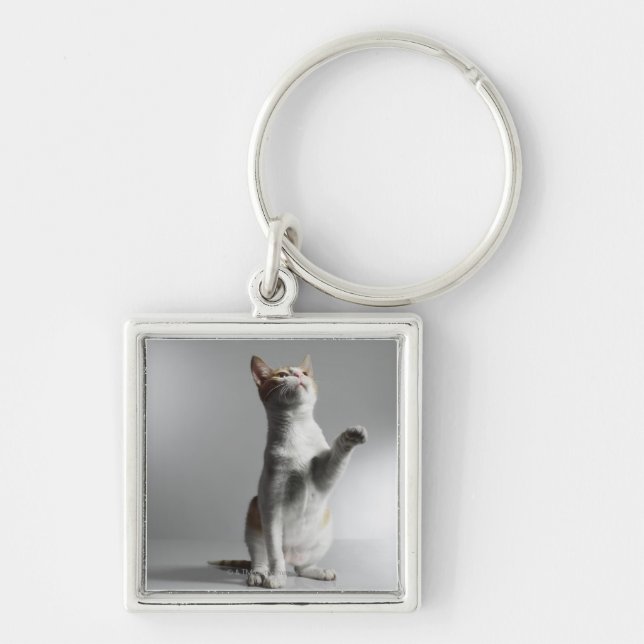 cat keychain (Front)