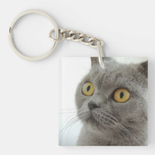 cat keychain