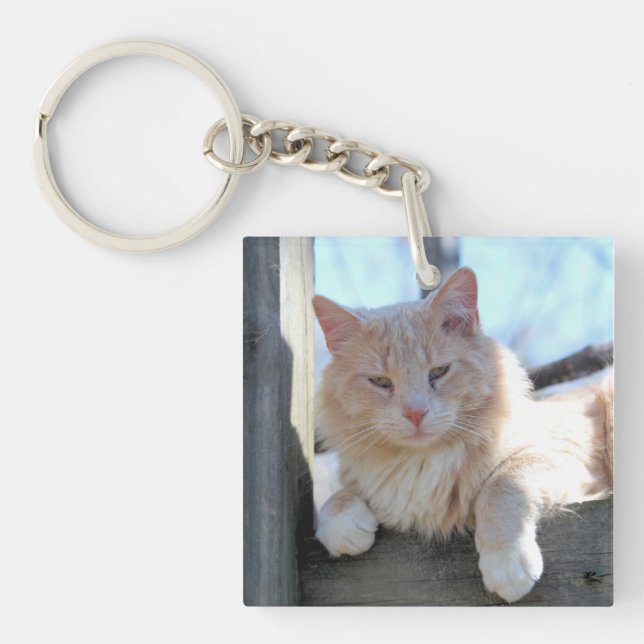 Cat Keychain (Front)