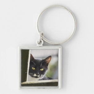 Cat Keychain