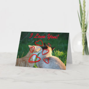 Cat kiss love card