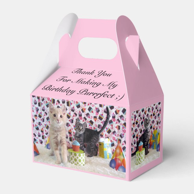 Cat / Kitten Birthday by Patton & Buffington  Favor Box (Front Side)