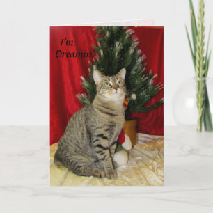 Cat, Kitten, Christmas, Rescue, Photo Holiday Card