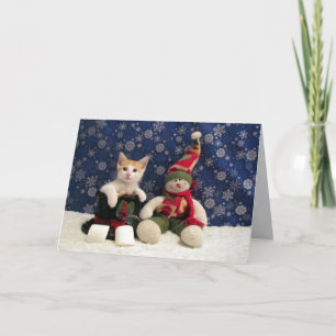 Cat, Kitten, Christmas, Rescue, Photo Holiday Card