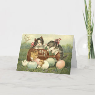 Cat Kitten Easter Coloured Painted Egg Chick Holiday Card