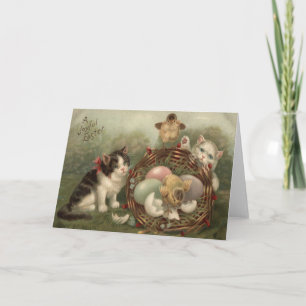 Cat Kitten Easter Coloured Painted Egg Chick Holiday Card