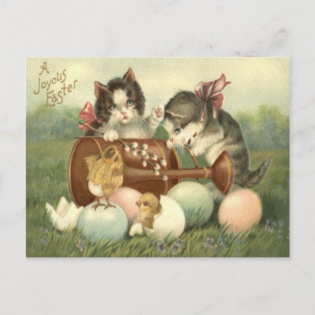 Cat Kitten Easter Coloured Painted Egg Chick Holiday Postcard (Front)
