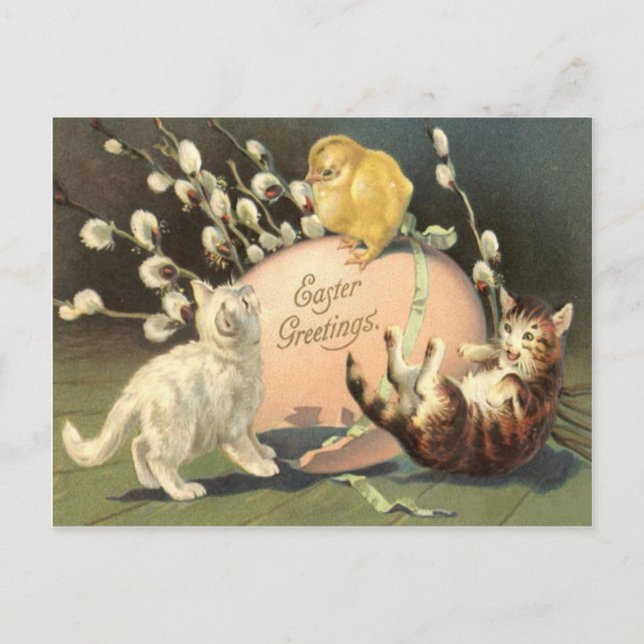 Cat Kitten Easter Coloured Painted Egg Chick Holiday Postcard (Front)