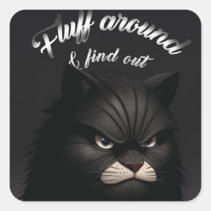 Cat, Kitten, Fluff Around And Find Out Funny Square Sticker