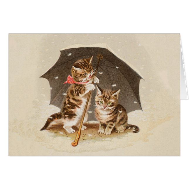 Cat Kitten kitty antique vintage pretty cute  (Front Horizontal)
