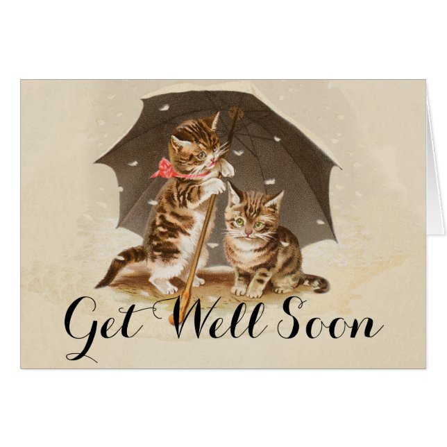 Cat Kitten kitty antique vintage pretty cute  (Front Horizontal)