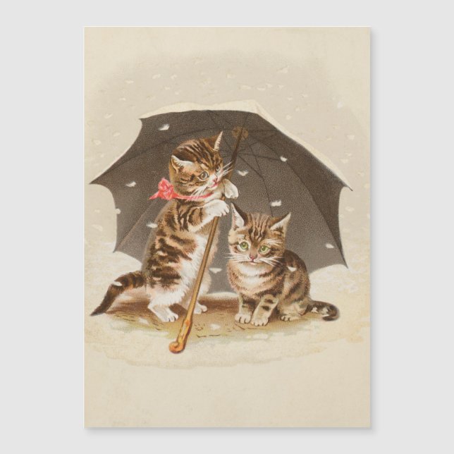 Cat Kitten kitty antique vintage pretty cute  (Front)
