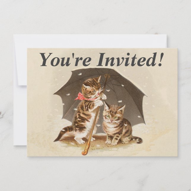 Cat Kitten kitty antique vintage pretty cute  Invitation (Front)