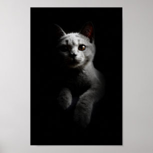 Cat/Kitten/Kitty Portrait Poster