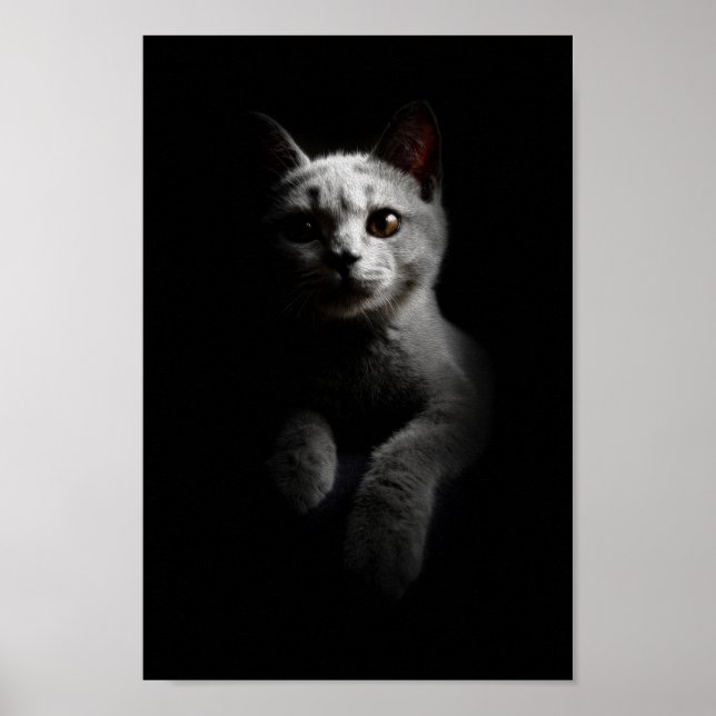 Cat/Kitten/Kitty Portrait Poster (Front)
