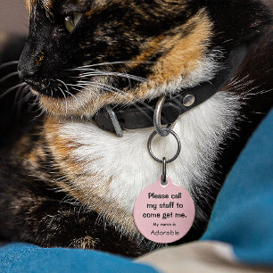 Cat, Kitten Lost tag, Small .88" Pet Tag