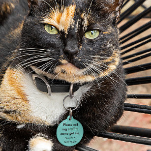 Cat, Kitten Lost tag, Teal Small .88" Pet Tag