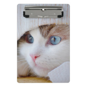 Cat, Kitten, Pet Mini Clipboard