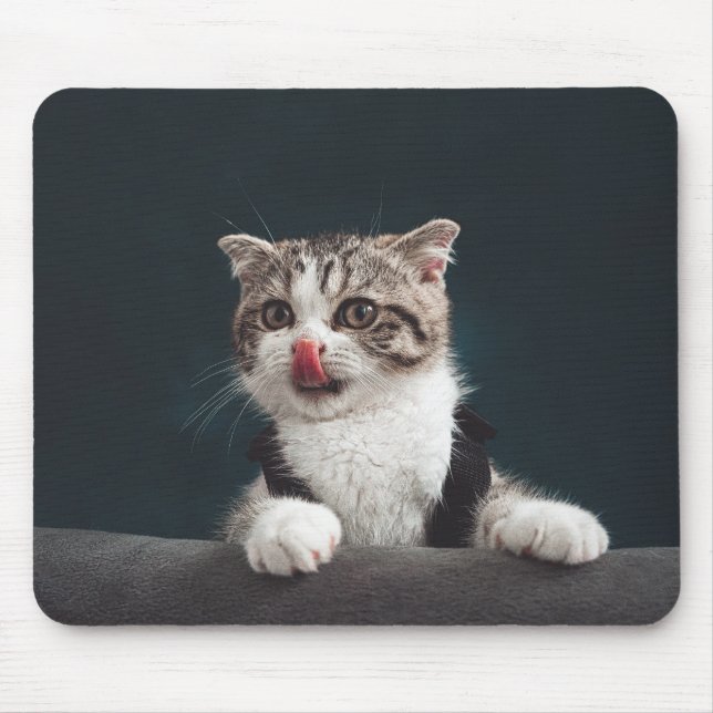 cat, kitten, pet mouse pad (Front)