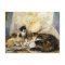 Cat & Kittens Asleep in the Artist's Studio