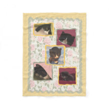 Cat, Kitty Cats Home Sweet Home