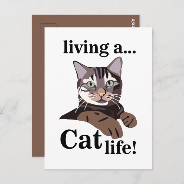 Cat Kitty Funny Postcard (Front/Back)