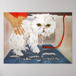 Cat Kitty Vet Pet Cat Bath Humour Funny Poster