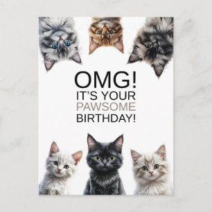 Cat Lady Birthday OMG! It's Your Birthday Funny Postcard