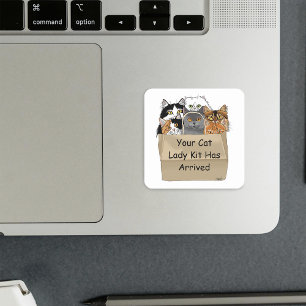 Cat Lady Starter Kit Square Sticker