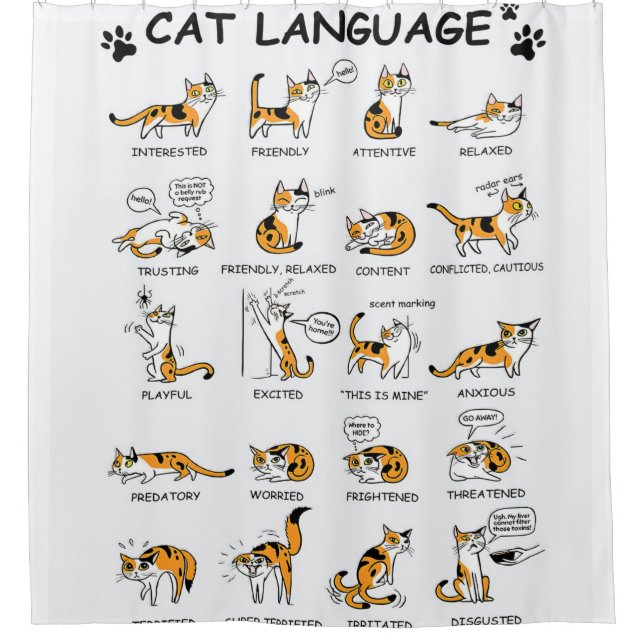 Cat Language, Funny Cat Kitten, Love Cat Gift Idea (Front)