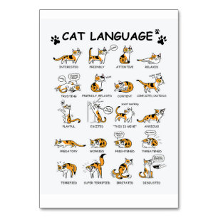 Cat Language, Funny Cat Kitten, Love Cat Gift Idea Table Number