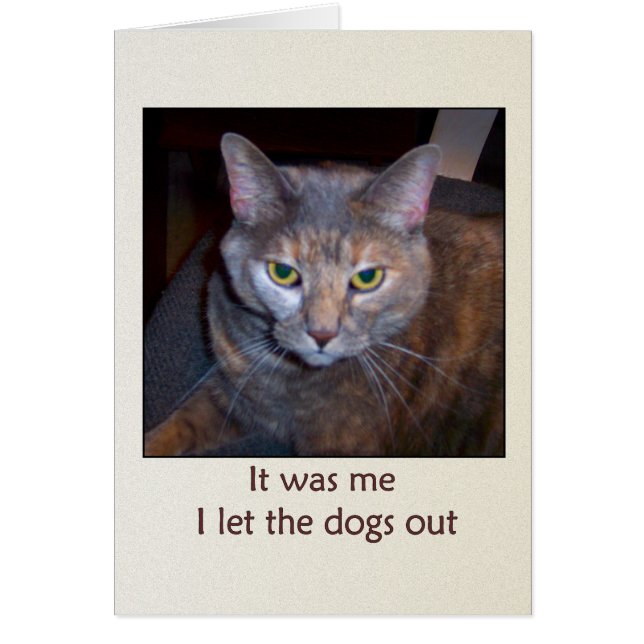 Cat Let The Dogs Out (Front)