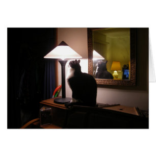 Cat Light Card