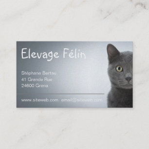 Cat-like breeding, calling card cat