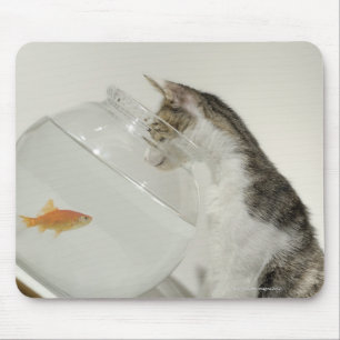 Cat looking at fish in fishbowl mouse pad
