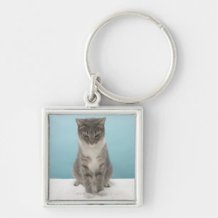 Cat looking at toy mouse on rug keychain