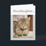 Cat Looking Good Granddaughter Birthday Fun Animal Card<br><div class="desc">It's your Granddaughter. Birthday Celebrate any way you want with a funny cat wearing a tiara and with nails done.  If your Granddaughter loves humour and animals especially cats this is the birthday card for you</div>