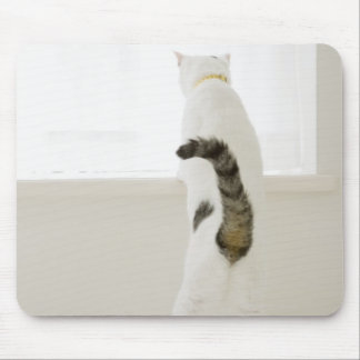 Cat looking out window, rear view mouse pad