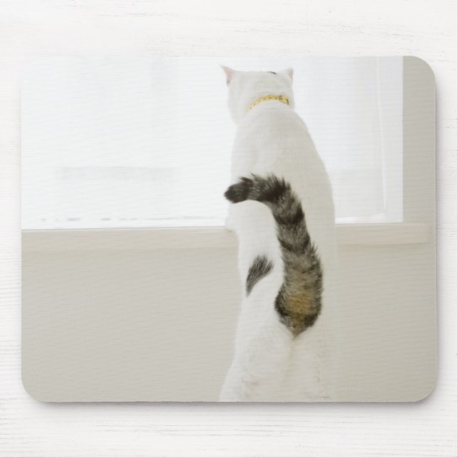 Cat looking out window, rear view mouse pad (Front)