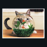 Cat Looking Through A Fish Bowl Poster<br><div class="desc">Fat Face Cat looking through a Gold Fish Bowl. Your walls are a reflection of your personality. So let them speak with your favourite quotes, art, or designs printed on our posters! Choose from up to 5 unique paper types and several sizes to create art that’s a perfect representation of...</div>