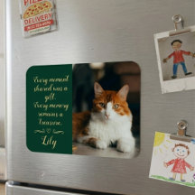 Cat Loss Memorial Personalized Photo Pet Name